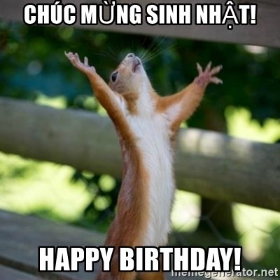 Meme chúc mừng sinh nhật 19