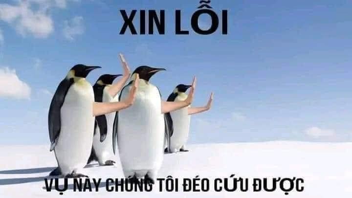 Meme còn cứu được 23