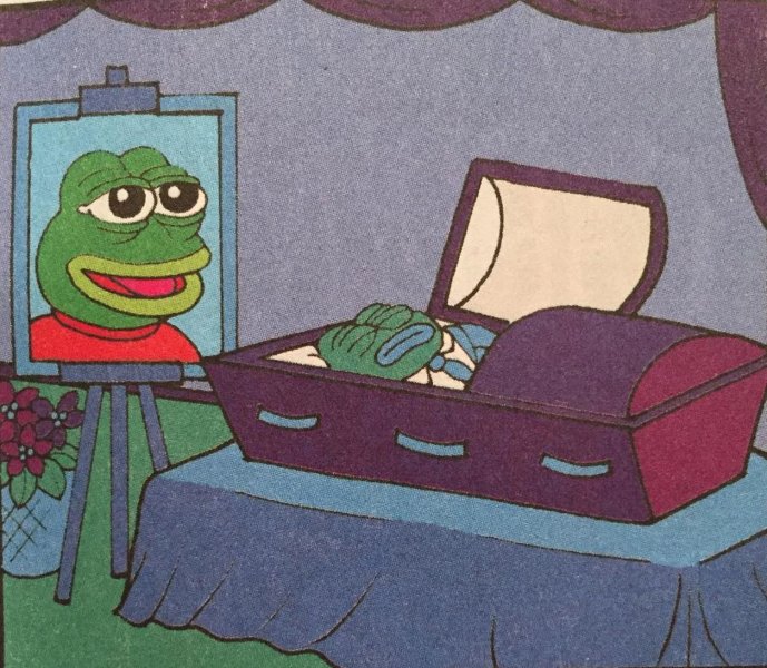 Meme con ếch 13