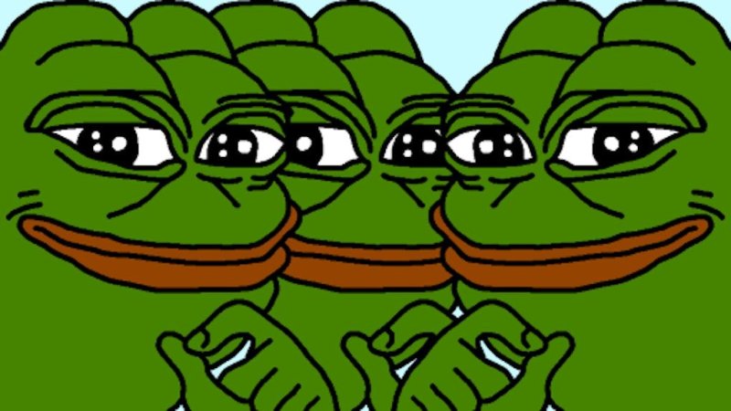 Meme con ếch 53