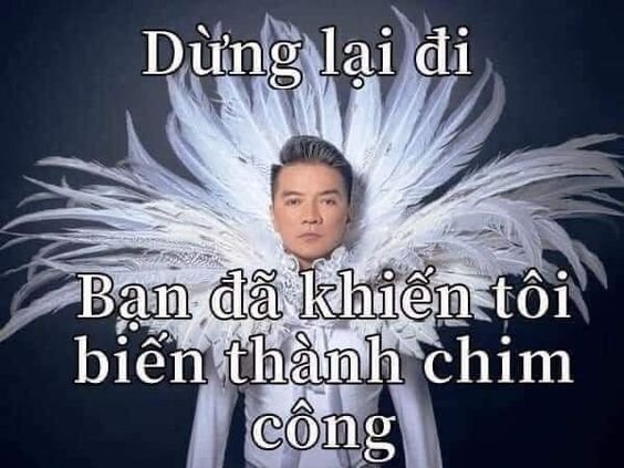 Meme Đàm Vĩnh Hưng 03