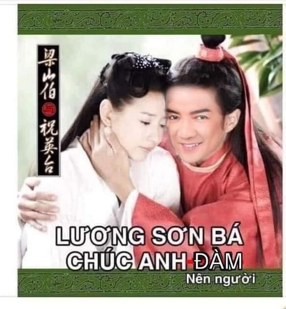 Meme Đàm Vĩnh Hưng 13