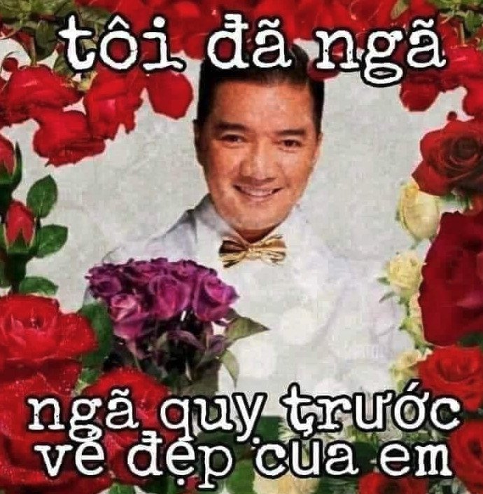 Meme Đàm Vĩnh Hưng 20