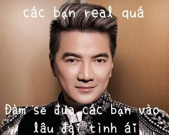 Meme Đàm Vĩnh Hưng 27