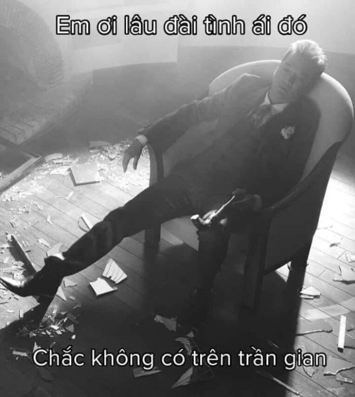 Meme Đàm Vĩnh Hưng 28