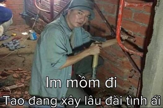 Meme Đàm Vĩnh Hưng 29