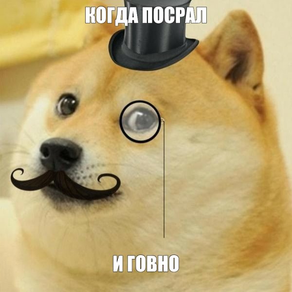 Meme dog 12