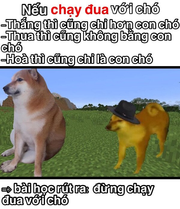 Meme doge 12