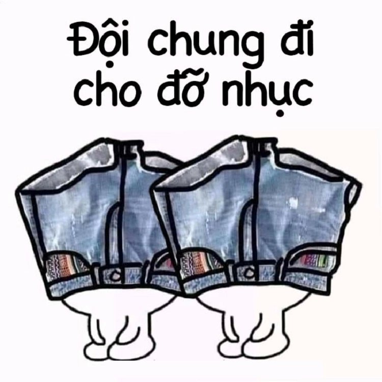 Meme đội quần 12