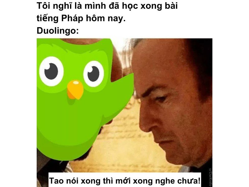 Meme doulingo 06