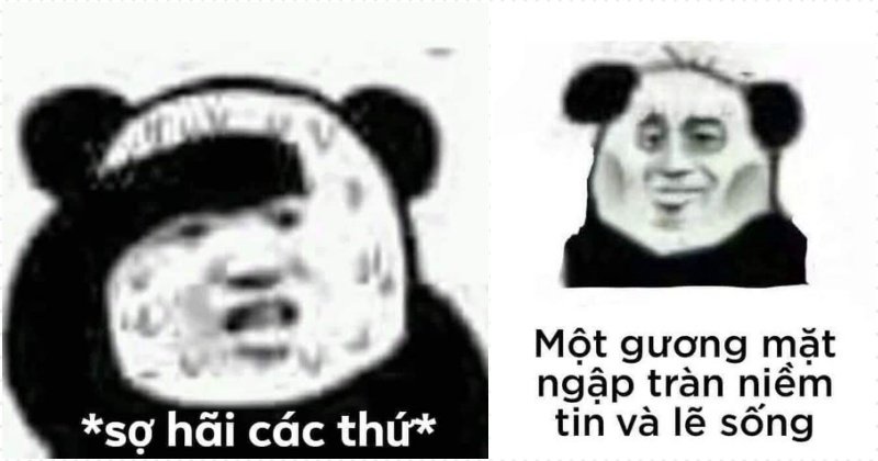 Meme gấu trúc 05