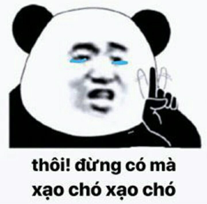 Meme gấu trúc 07