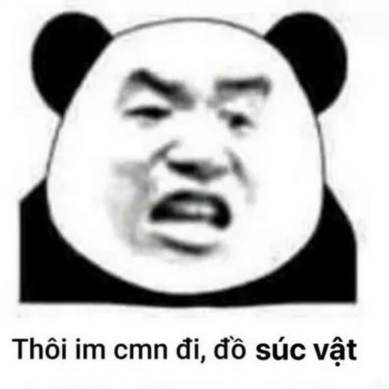 Meme gấu trúc 14