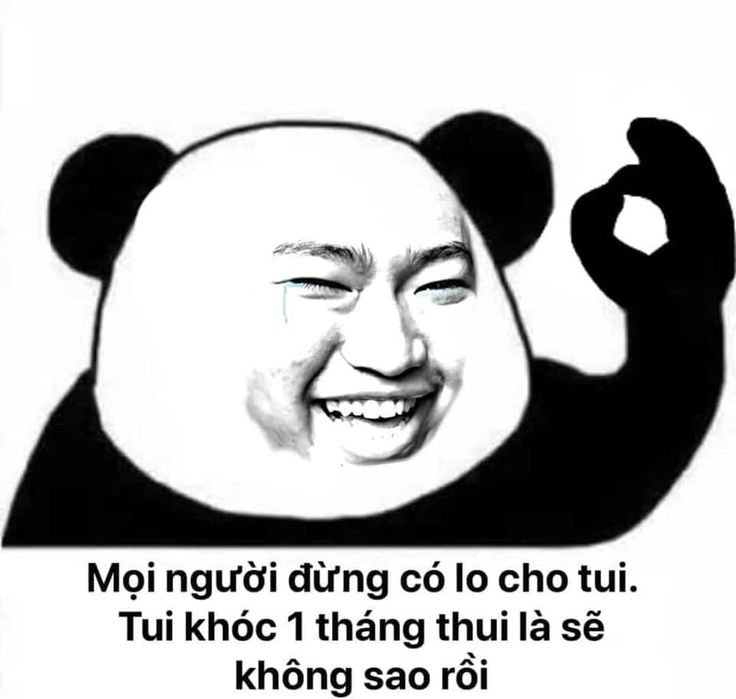 Meme gấu trúc 15