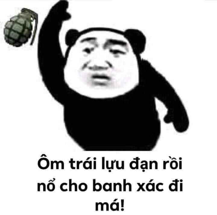 Meme gấu trúc 17