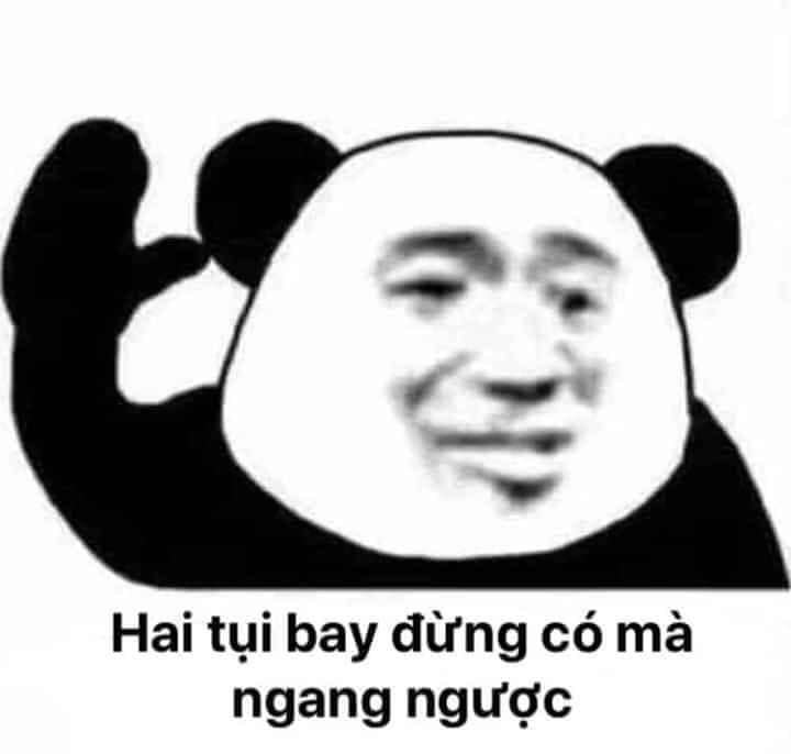 Meme gấu trúc 19