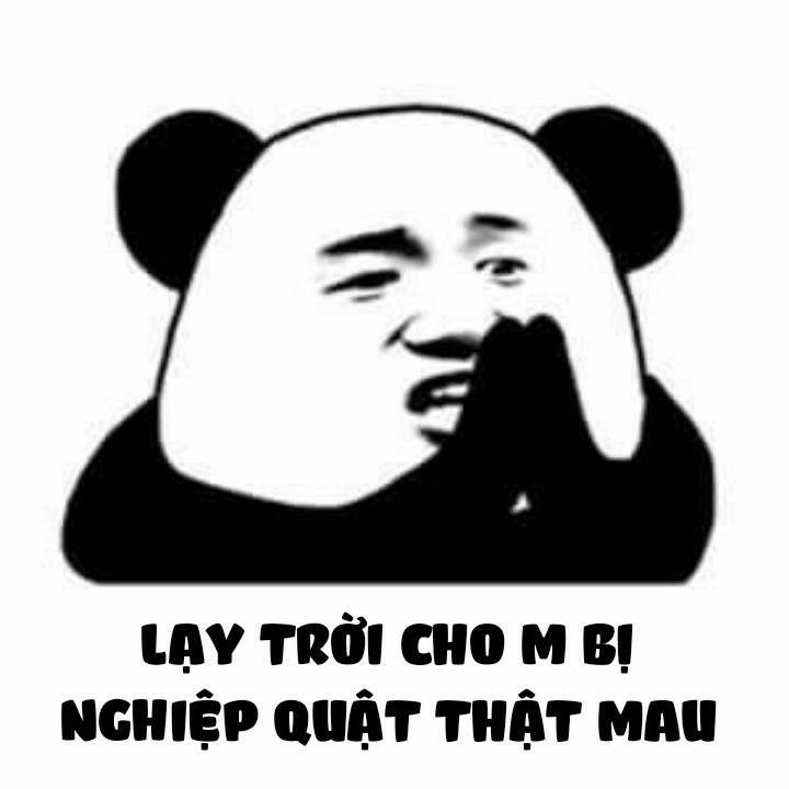 Meme gấu trúc 26