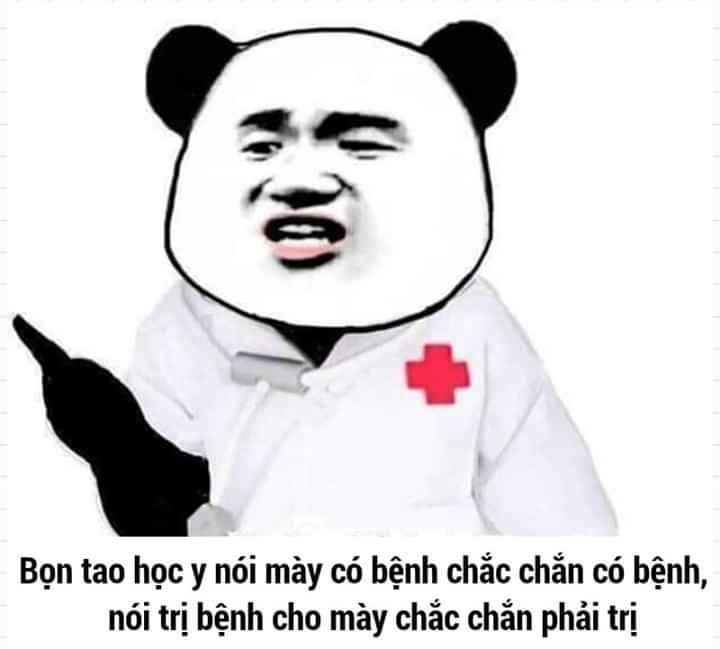 Meme gấu trúc 28