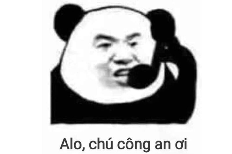 Meme gấu trúc 30