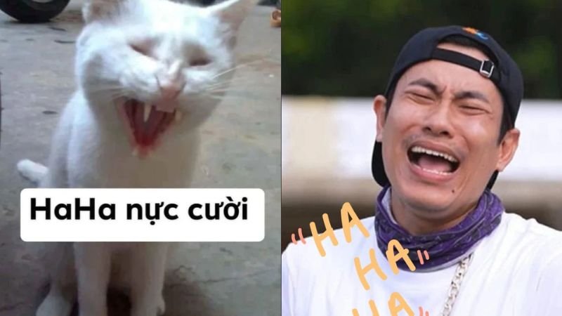 Meme hài 23