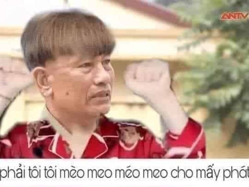 Meme hài hước 08