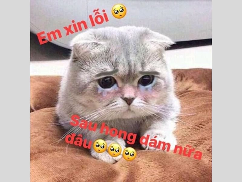 Meme hài hước 97