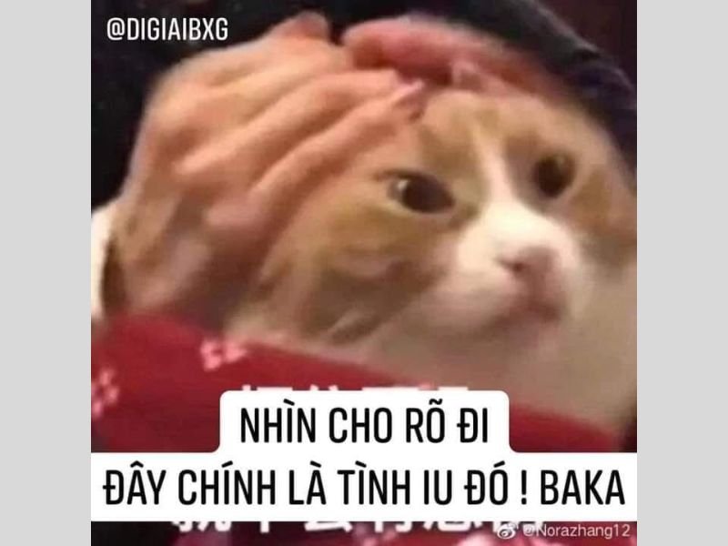 Meme hài hước 82