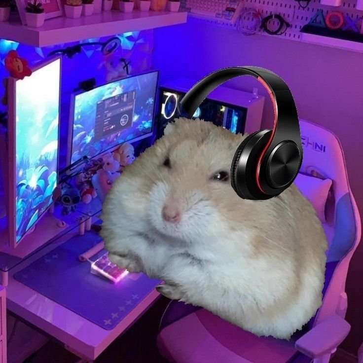 Meme hamster 36