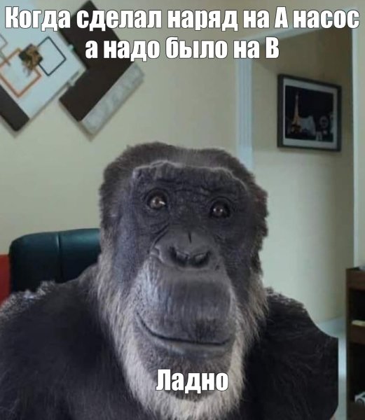 Meme khỉ 21