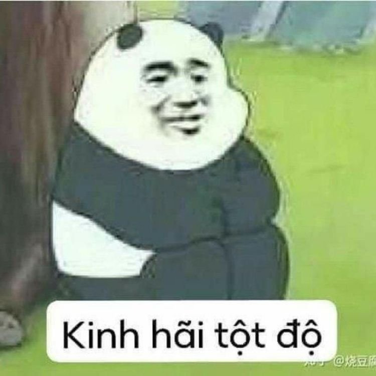 Meme khịa 63