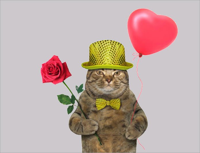 Meme mèo tặng hoa 19