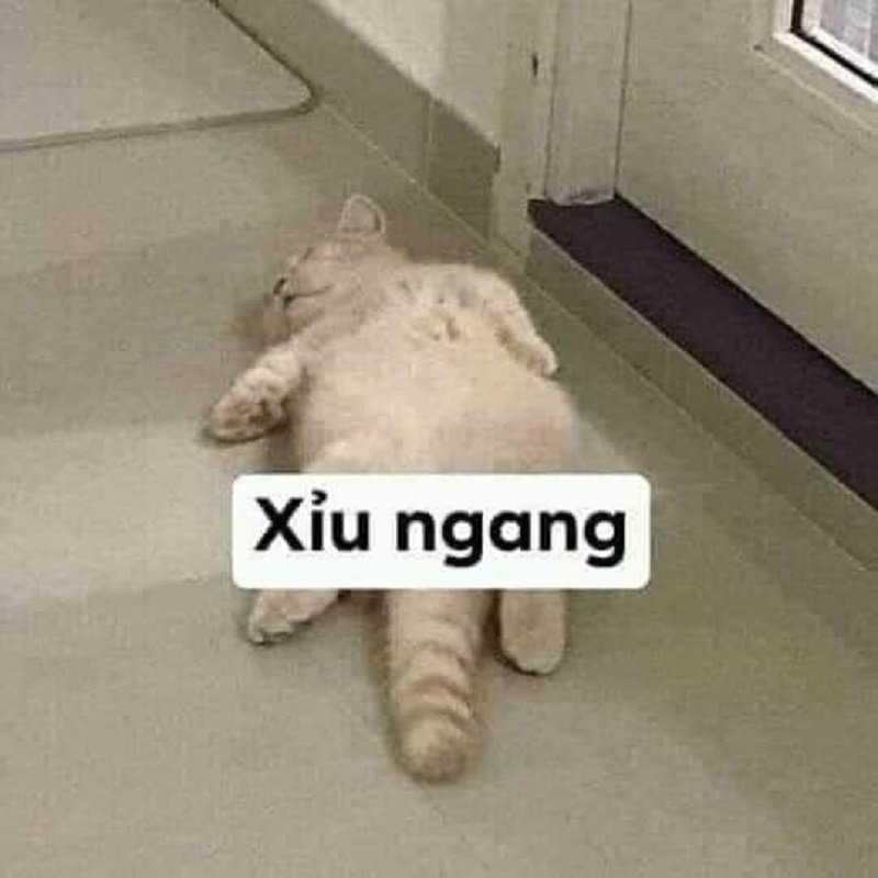 Meme nhếch mép 29