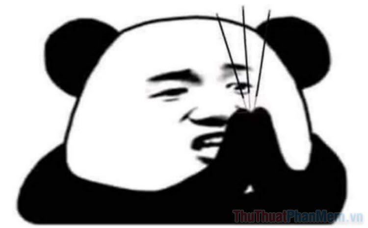 Meme panda 01