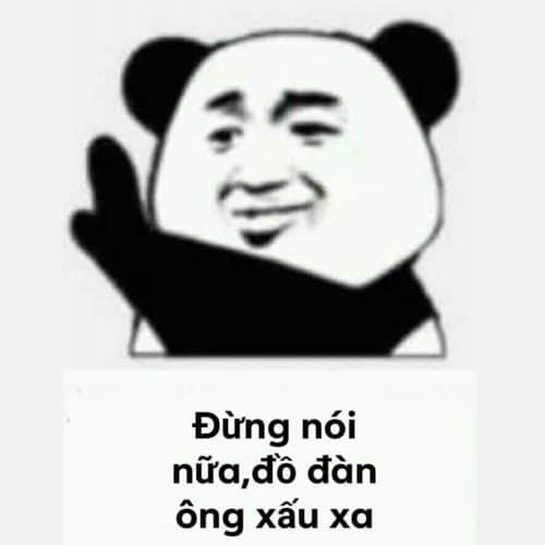 Meme panda 12
