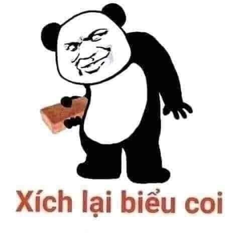 Meme panda 13