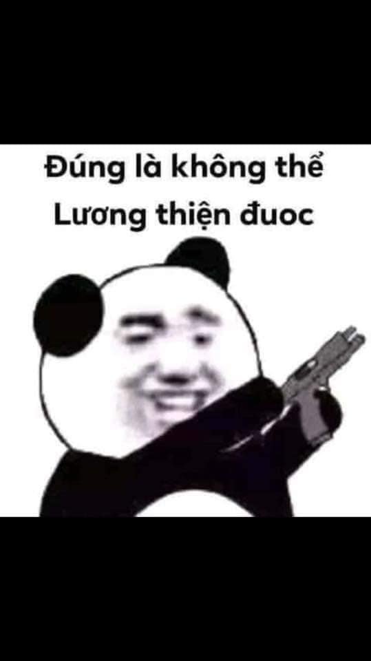 Meme panda 17