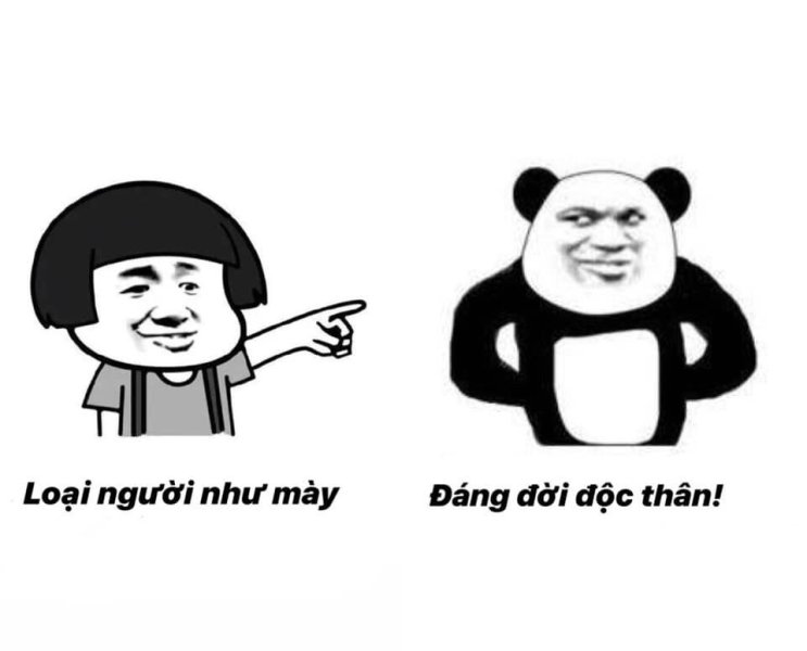 Meme panda 19