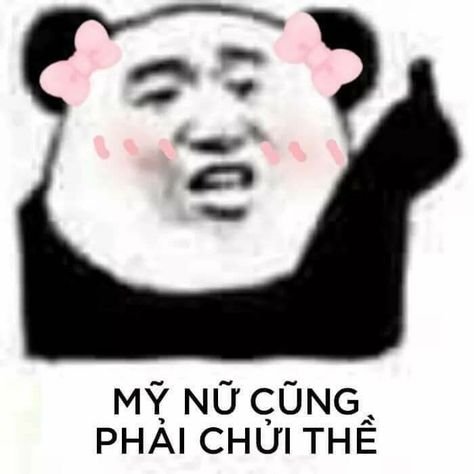 Meme panda 28