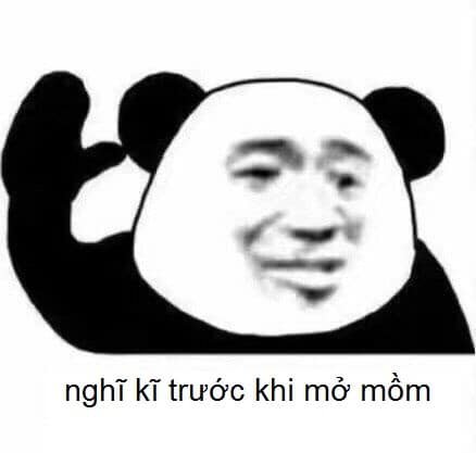 Meme panda 29
