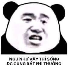 Meme panda 30