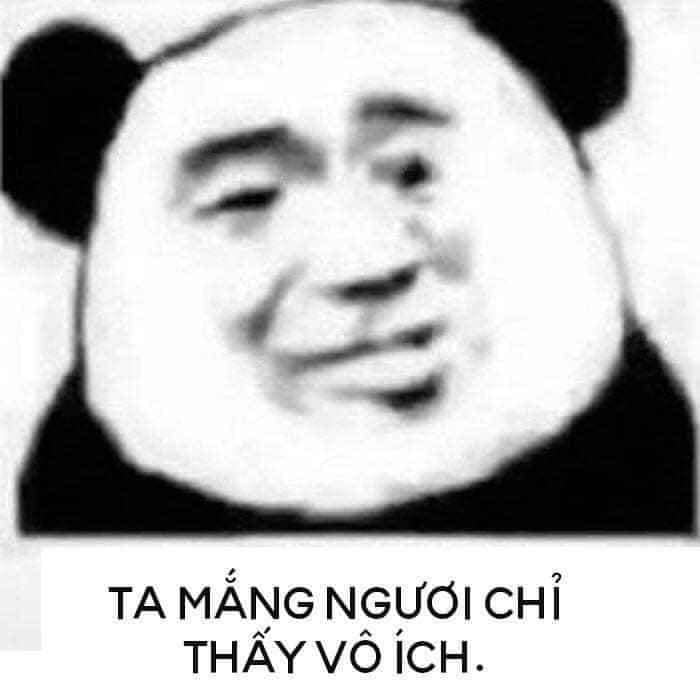 Meme panda 33