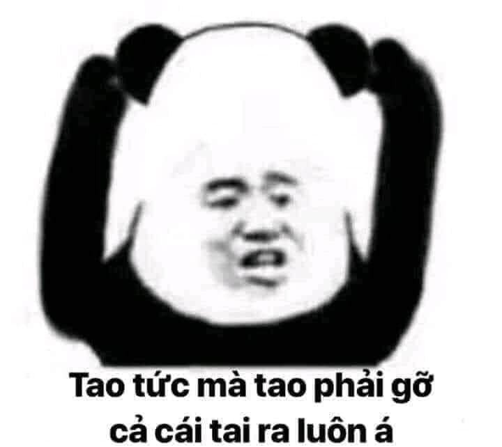 Meme panda 36
