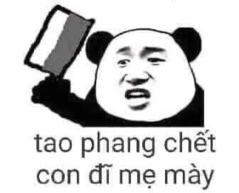 Meme panda 37