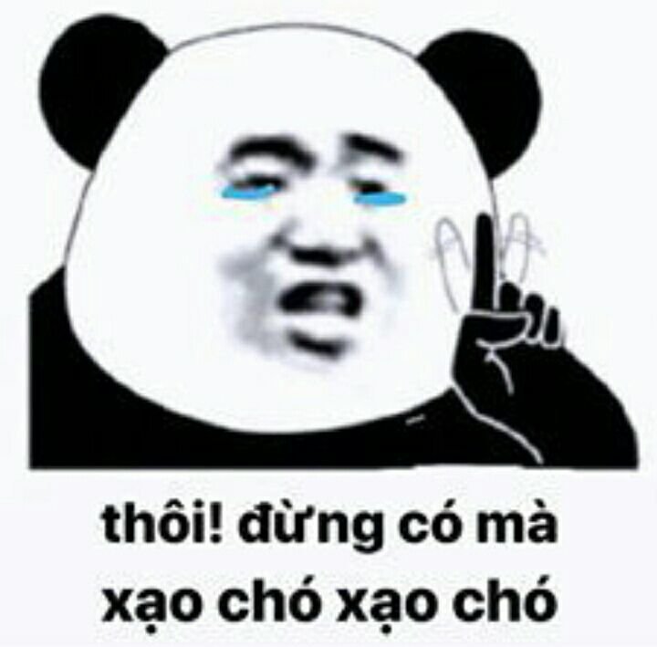 Meme panda 42