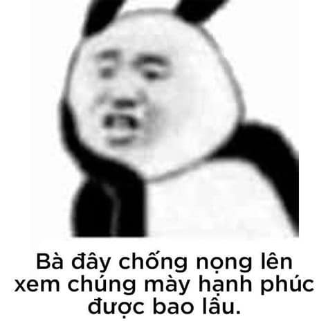 Meme panda 45