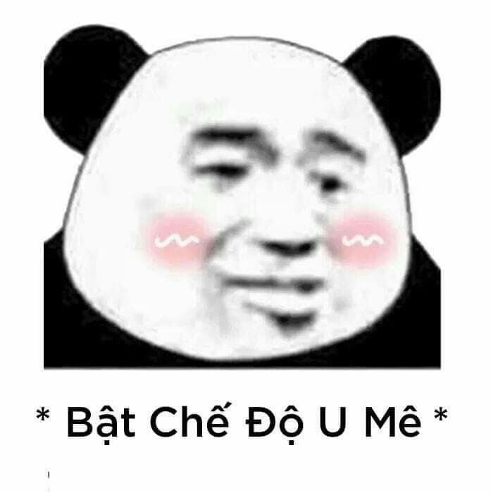 Meme panda 47
