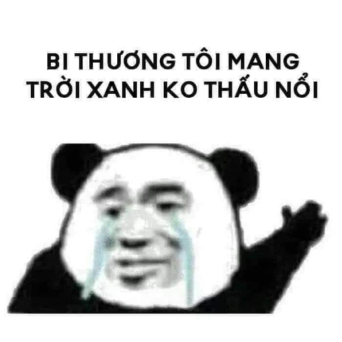 Meme panda 48