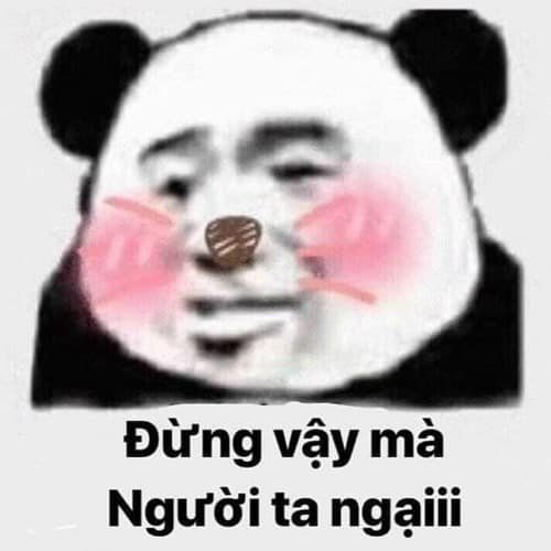 Meme panda 55