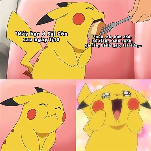 Pikachu meme 10