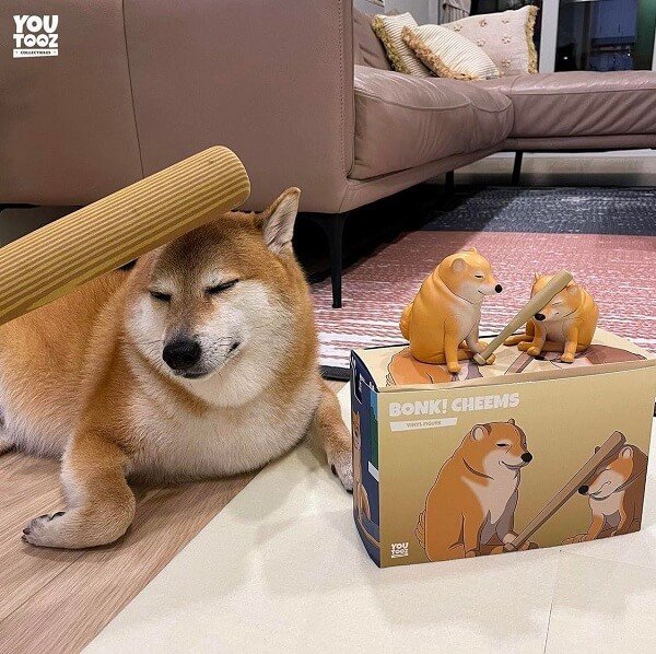 Meme shiba 42